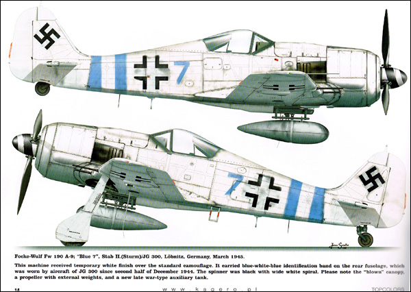 Fw 190s over Europe - Part 1