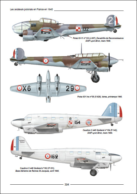 Les aviateurs polonais en France