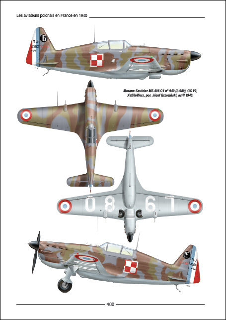 Les aviateurs polonais en France