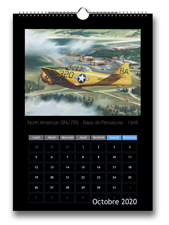 Calendrier aviation 2020