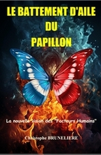 Le battement d’aile du papillon